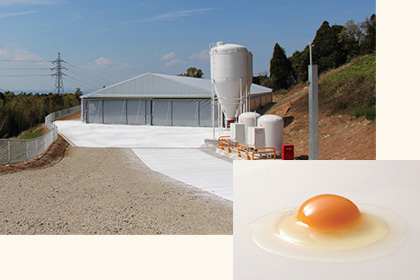 液卵工場と卵